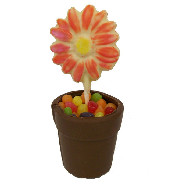 Flower Pot