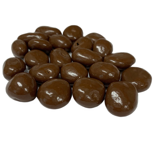 Chocolate Covered Raisins