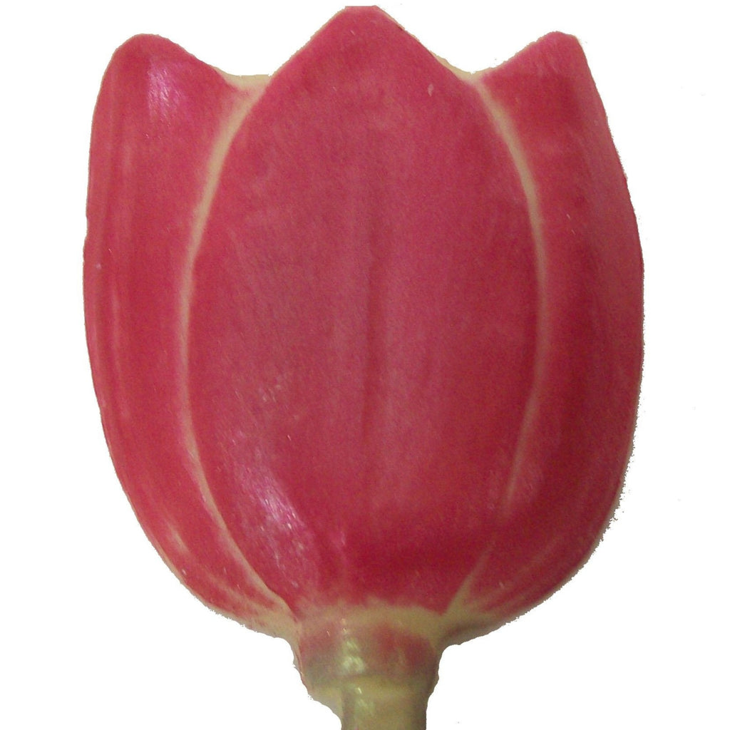 Tulip Pop-Large